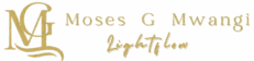 Lightflow Media